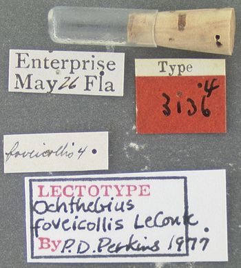 Media type: image;   Entomology 3136 Aspect: labels